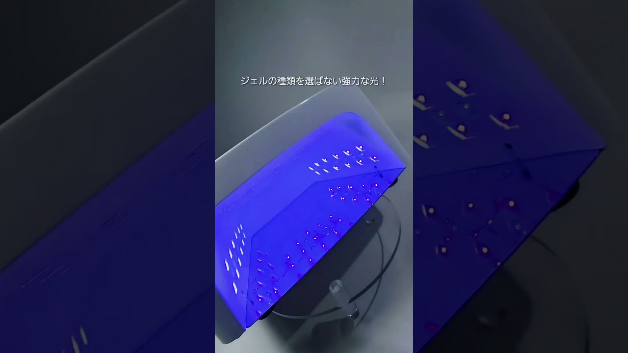 TAT - KOKOIST - LE BLANC