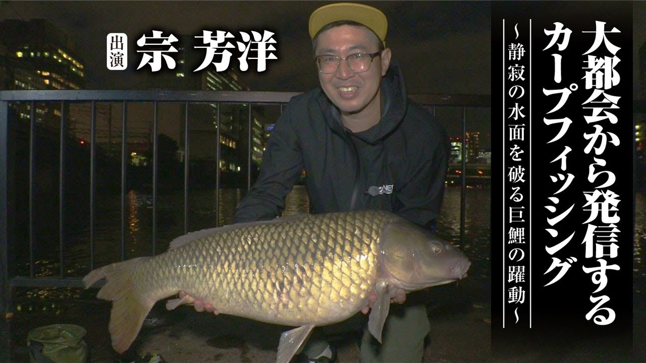 490 大都会から発信するカープフィッシング〜静寂の水面を破る巨鯉の