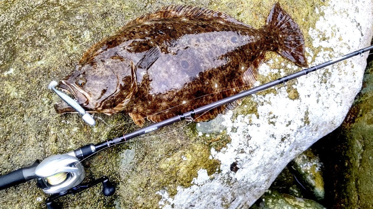 ガルッパ86B(Galupa86B)【2022年トランスセンデンス新製品紹介】山根