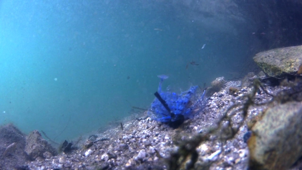 DRT/エイトボールジグ - HONEYSPOT