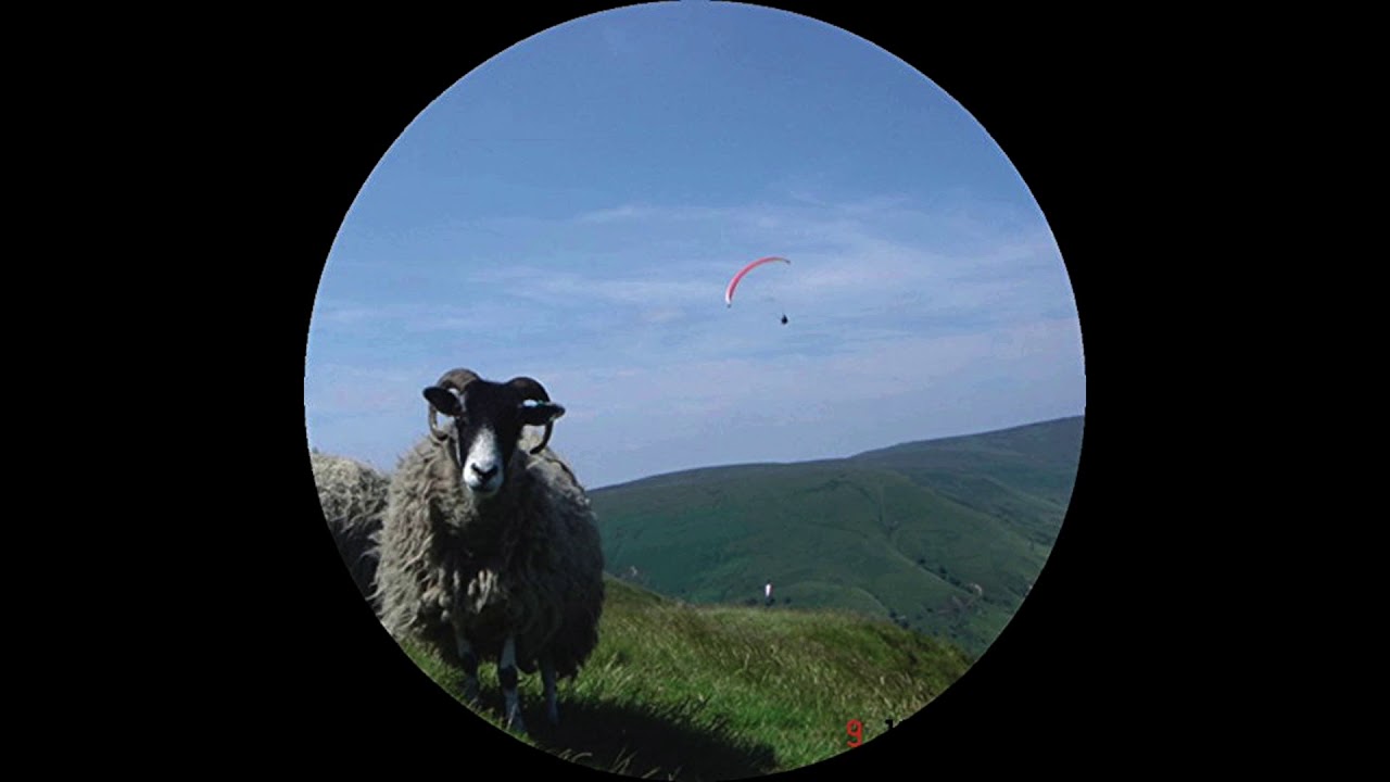 The Tuss - Confederation Trough (Full EP) - YouTube