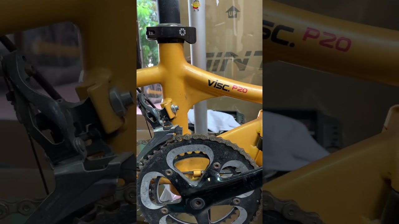 Full Service Dahon Visc P20 - YouTube