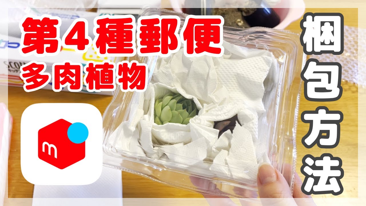 多肉植物】第4種郵便の梱包方法【メルカリ】 - YouTube