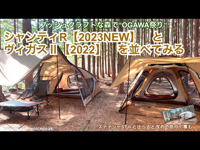 OGAWA祭- シャンティーR と ヴィガスⅡ を比べようと並べて張って