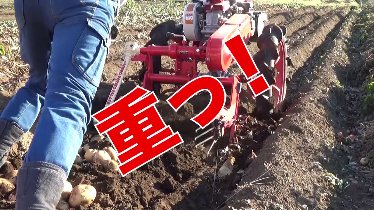 2020秋じゃが じゃがいも掘り機発動！！！ - YouTube