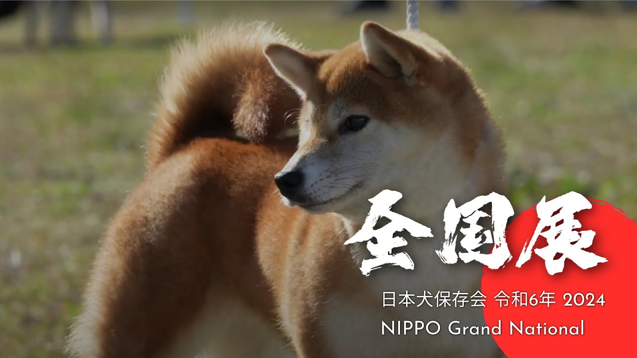 NIHON KEN HOZONKAI NIPPO Grand National 2024 令和6年度 公益社団