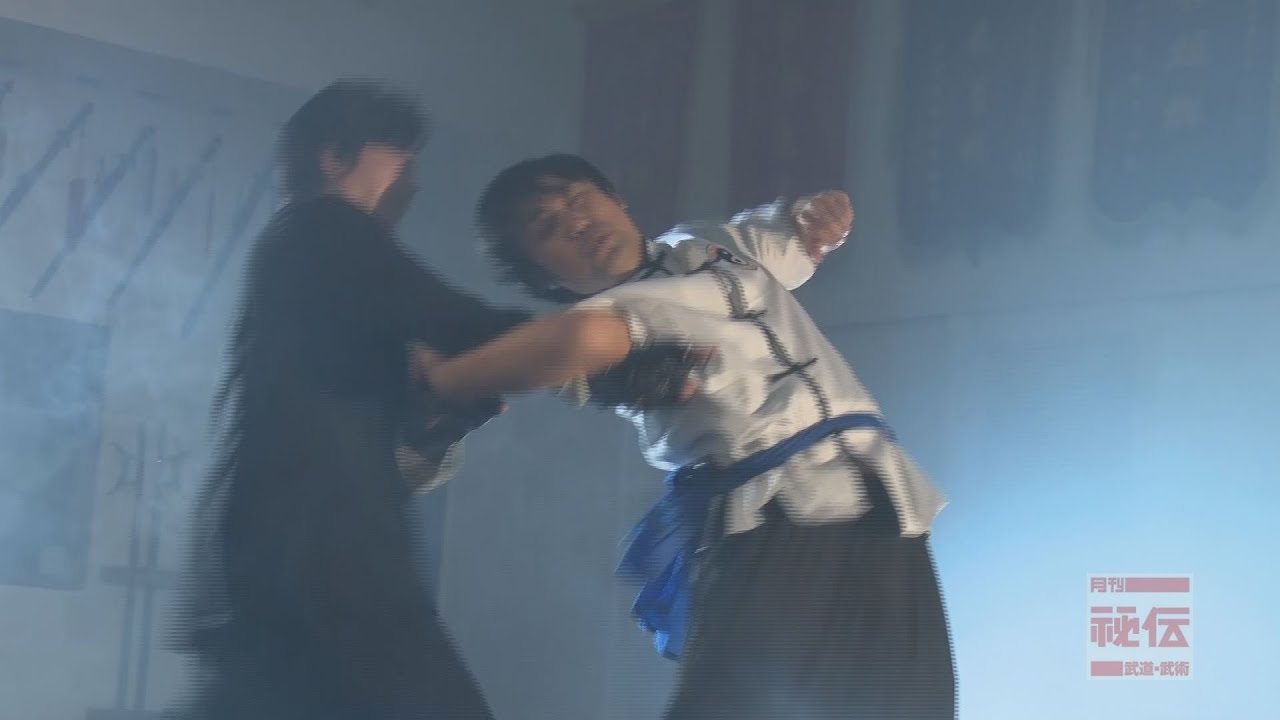 DVD 戦う！中国武術