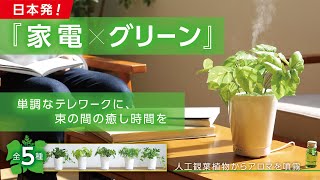 LITHON-GREEN AROMA MIST