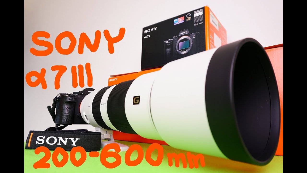SONY FE 200-600mm/F5.6-6.3 G OSS＋α7Ⅲ AF速度・追随性、解像度