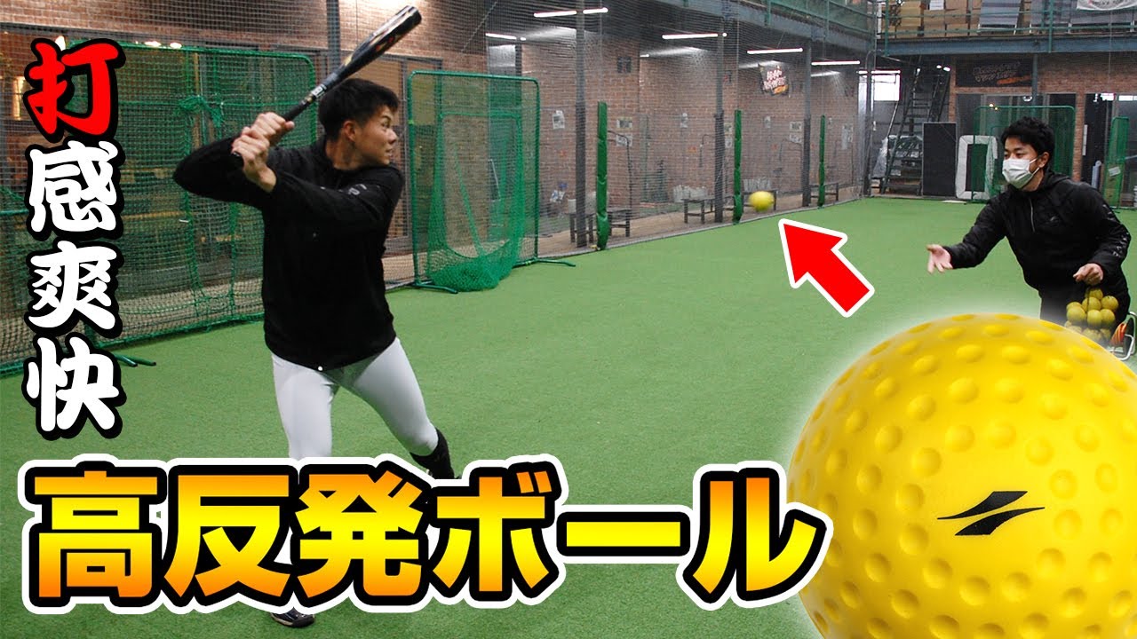 ウレタンハードボール20個入｜FHUB-21｜【野球】フィールドフォース