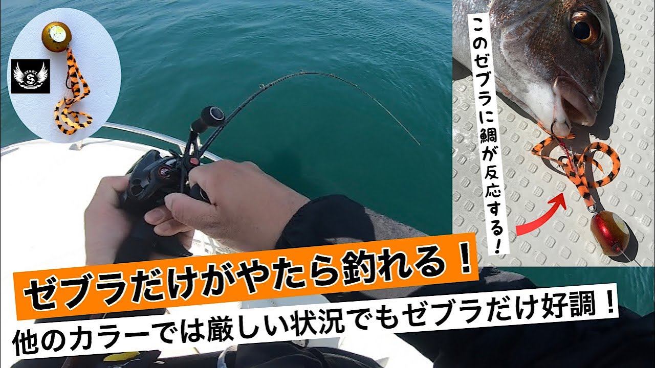 タイラバ】定番カラーで釣れないのに、なぜかゼブラカラーだけが好調