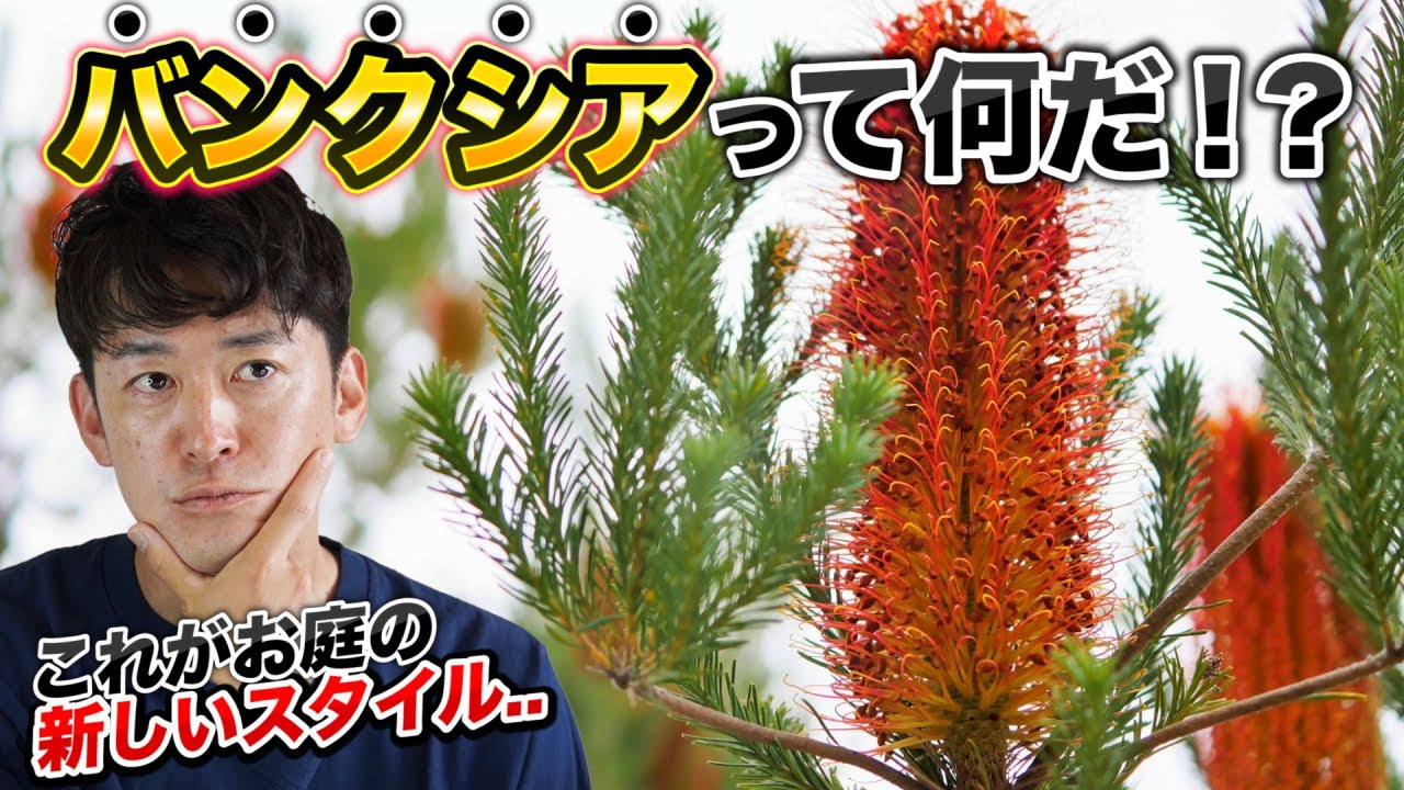 Sick of olives and eucalyptus?] Introducing 5 popular types of