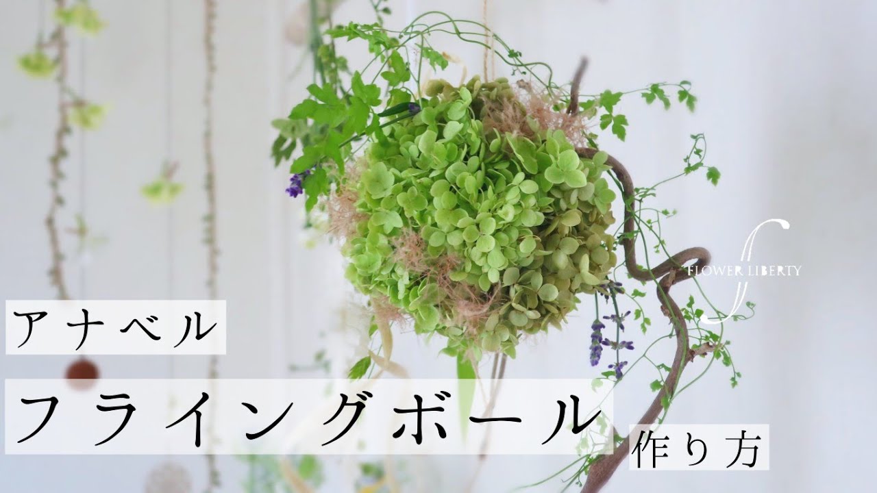 アナベル𖧷フライングボール作り方】 - YouTube