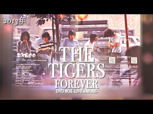 THE TIGERS FOREVER DVD BOX -LIVE&MORE-