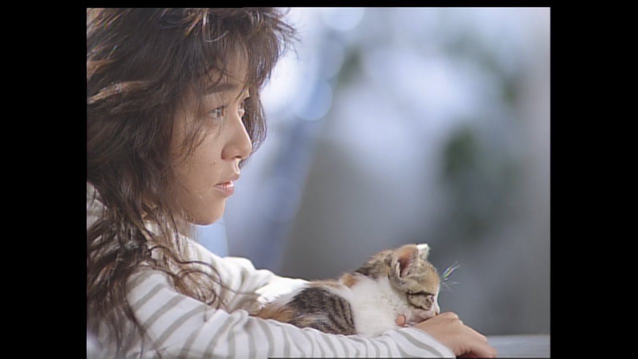 Yumi Tanimura - Go Broken Heart (Official Music Video) - YouTube