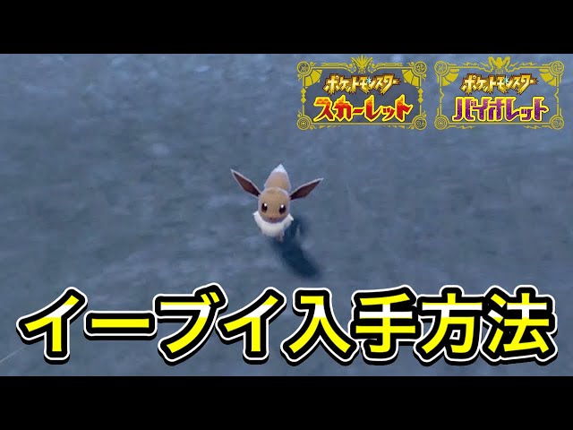 スカーレットバイオレット】序盤でイーブイ入手方法＆出現場所を解説