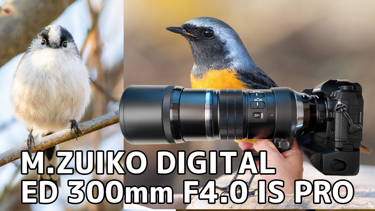 Bright Super Telephoto Lens] OM DIGITAL M.ZUIKO 300mm F4 IS PRO