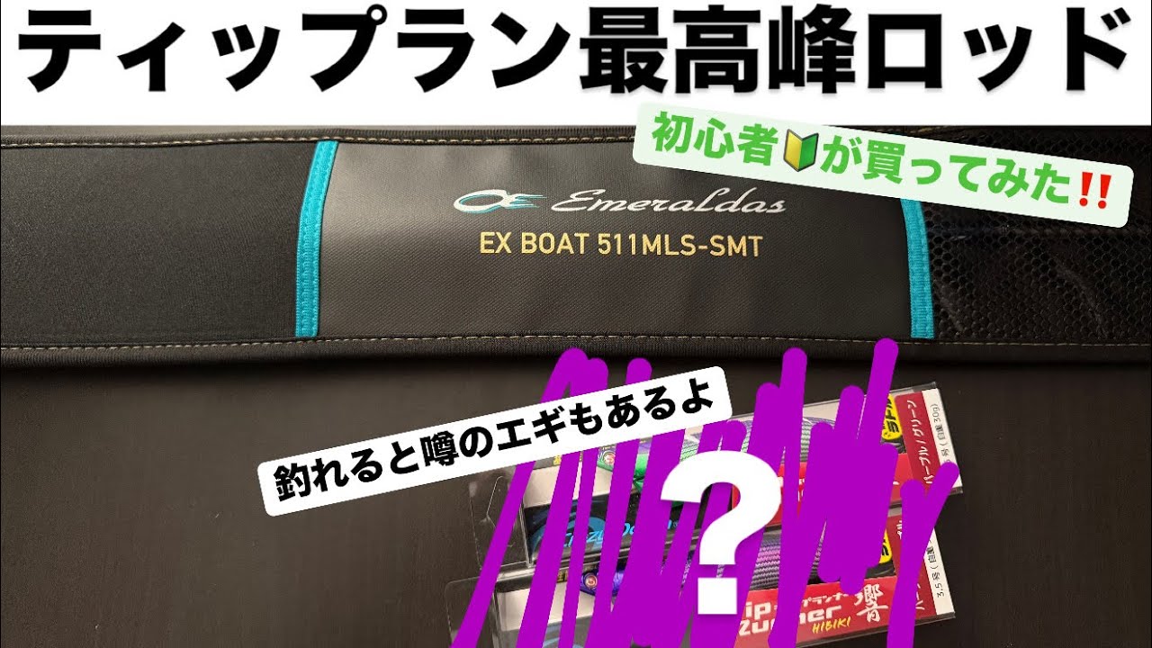 Tip Run Eging] I bought Daiwa's top-of-the-line tip run high-end