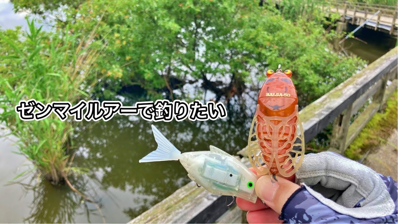 Bass fishing] A day when you want to fish with top water - YouTube