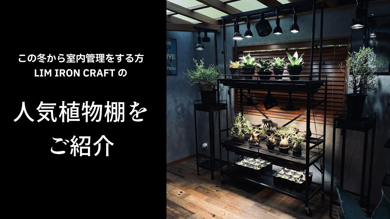 この冬必見！！アガベ・塊根植物におすすめ！高さが変えられる可動式