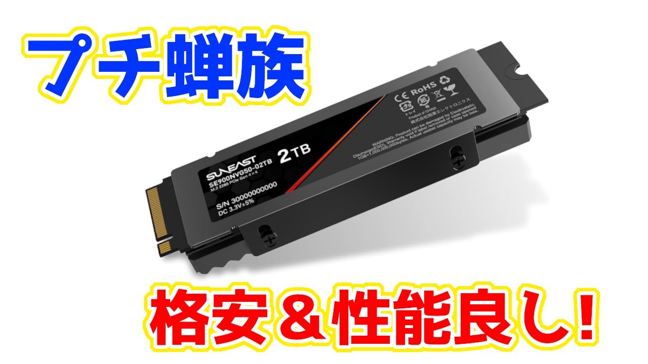 SUNEASTの地味なNVMe SSDの実態は