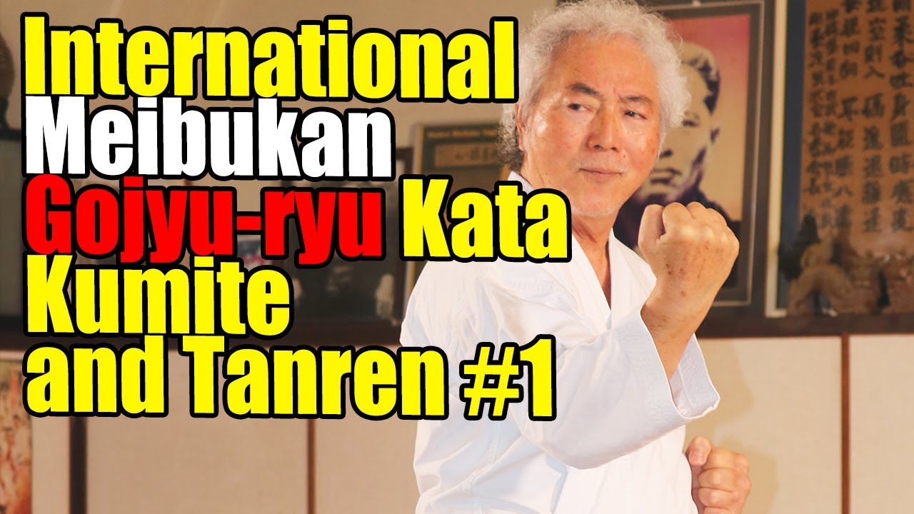 International Meibukan KARATE!! 「型と組手と鍛錬」【上巻】国際明武