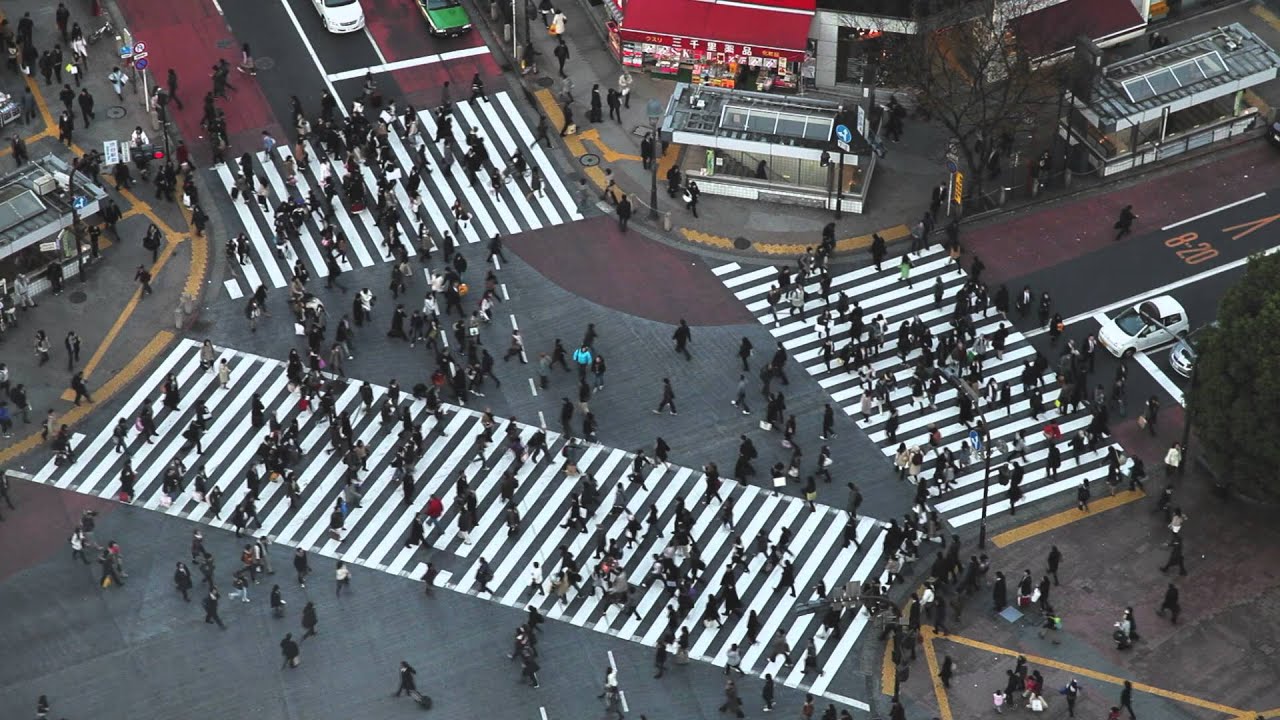 ZORN / The Downtown - ZAKAI Store