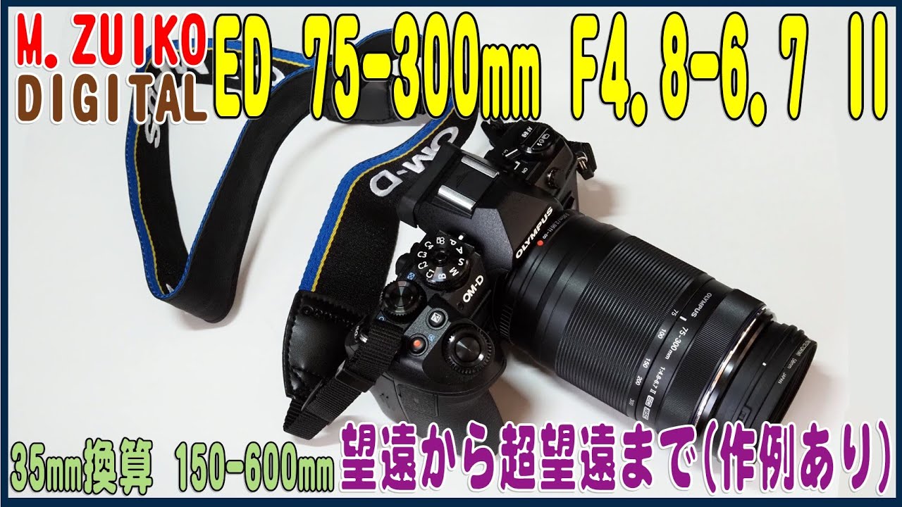 オリンパス コスパ最高！超望遠ズーム M ZUIKO DIGITAL ED 75-300mm F4