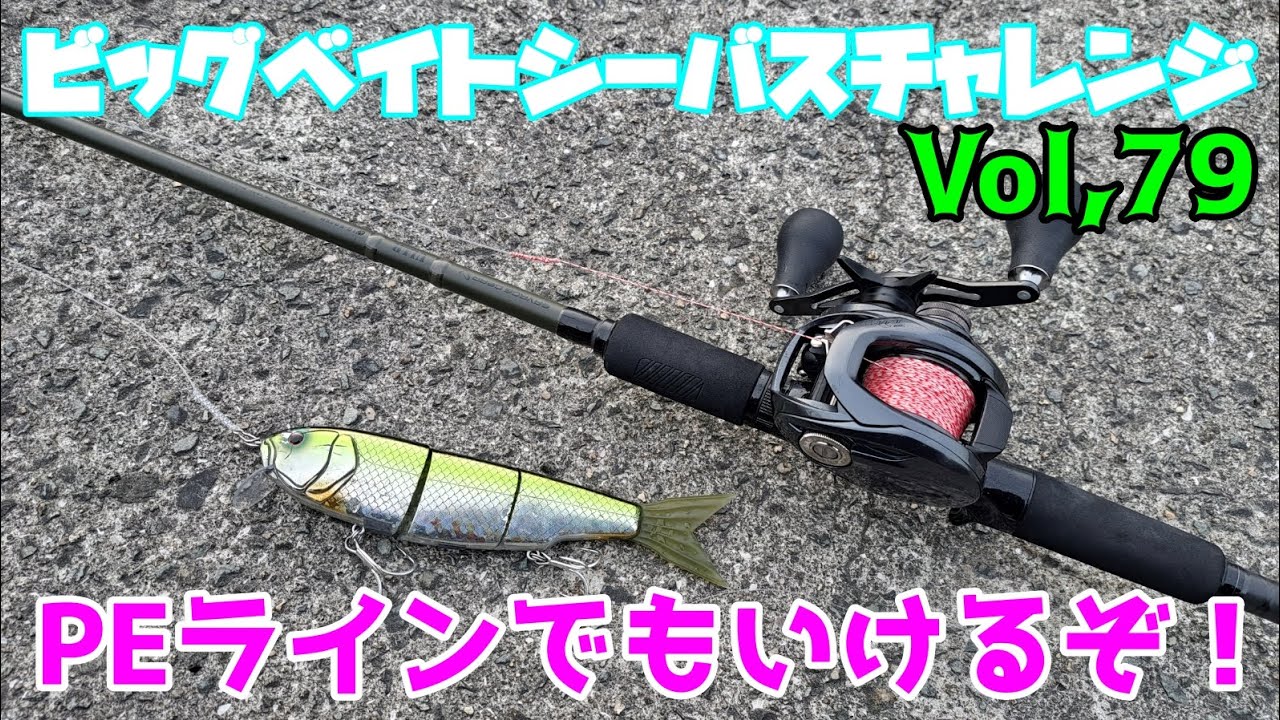 Big Bait Sea Bass Challenge Vol. 55] I cast it with the DIALUNA
