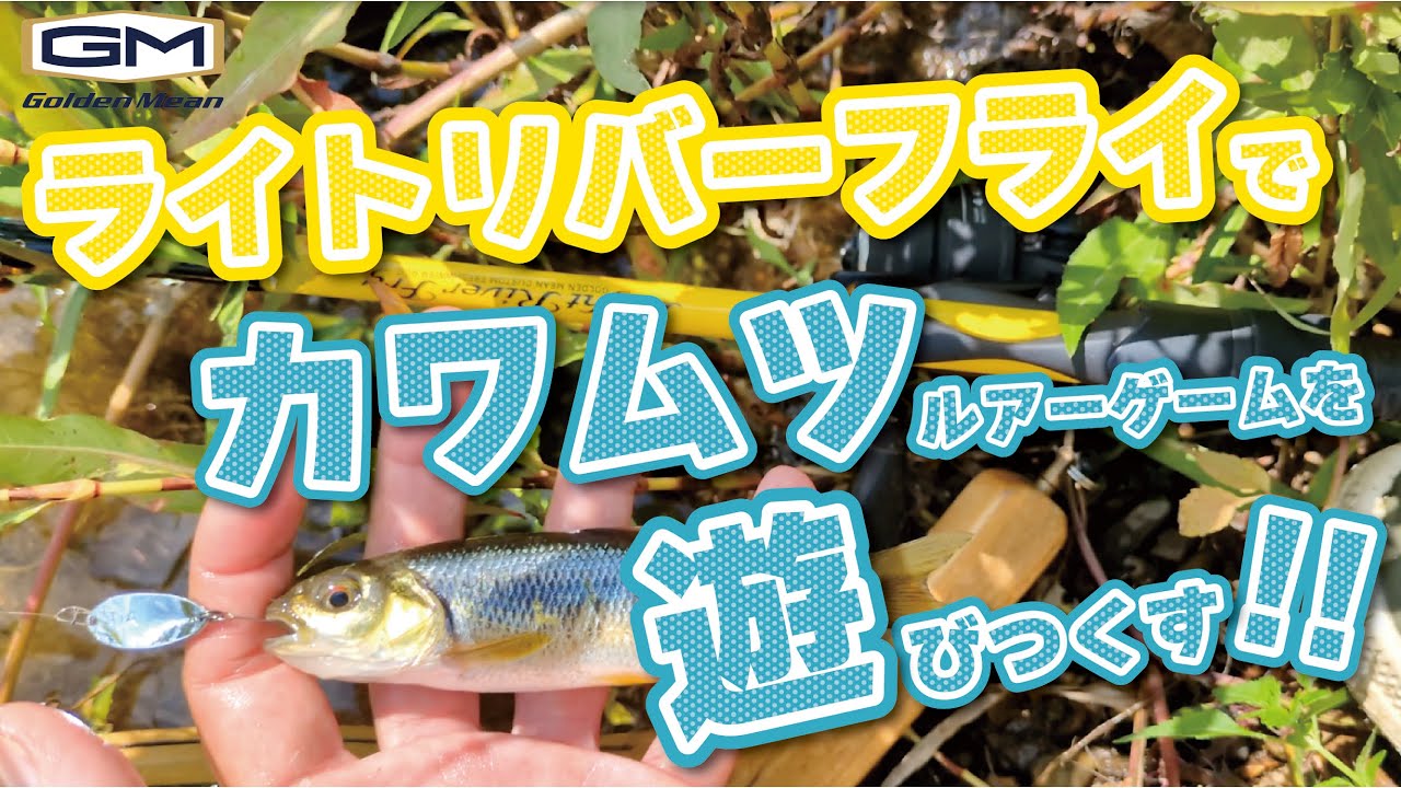 ライトリバーフライ ｜ ゴールデンミーン