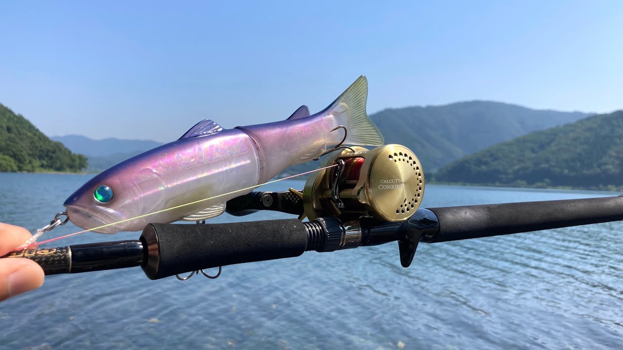 Finally, I caught a fish with the Slide Swimmer 250! Big baits