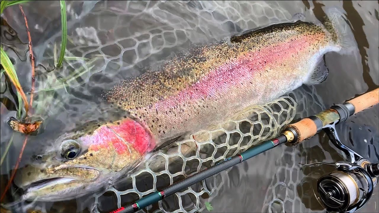 爆風の中でNewロッドCHASE&Bite! puzzle入魂編 - YouTube