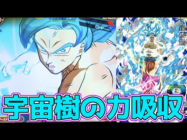 BM12-SEC】孫悟空(SSGSS•宇宙樹パワー)を使ってみた！【スーパー
