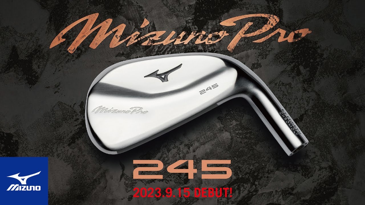 245 アイアン(単品) ダイナミックゴールド 95(アイアン（単品