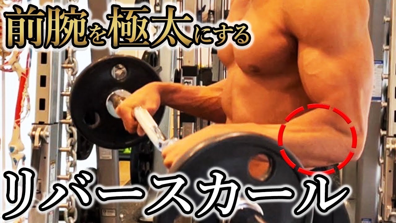 Only 1 minute] A detailed explanation of the reverse curl to make