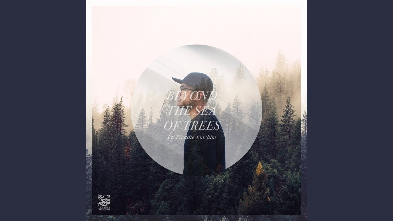 Beyond the Sea of Trees - YouTube