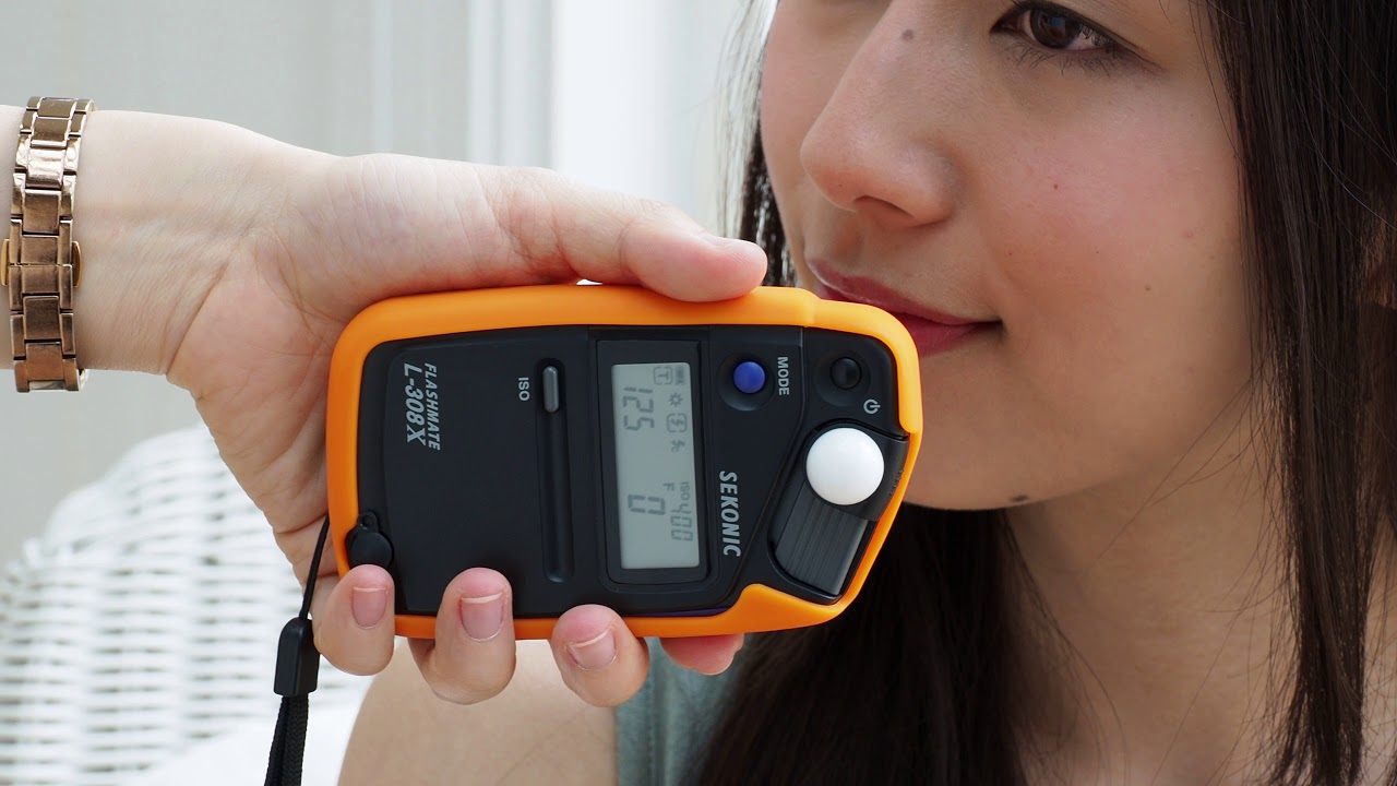 セコニック フラッシュメイトL-308Xによるストロボ光計測 :- デジカメ