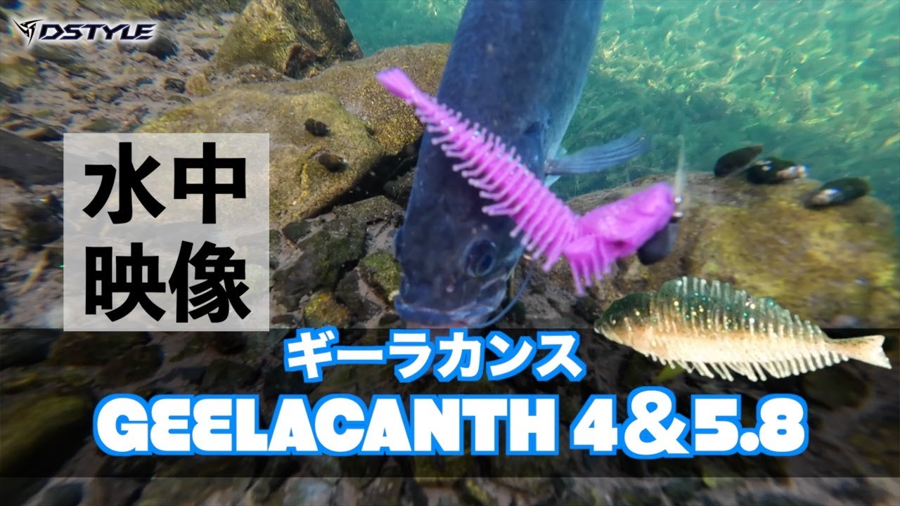 公式】GEELACANTH(ギーラカンス) 4inch - 5.8inch 水中動画 - YouTube