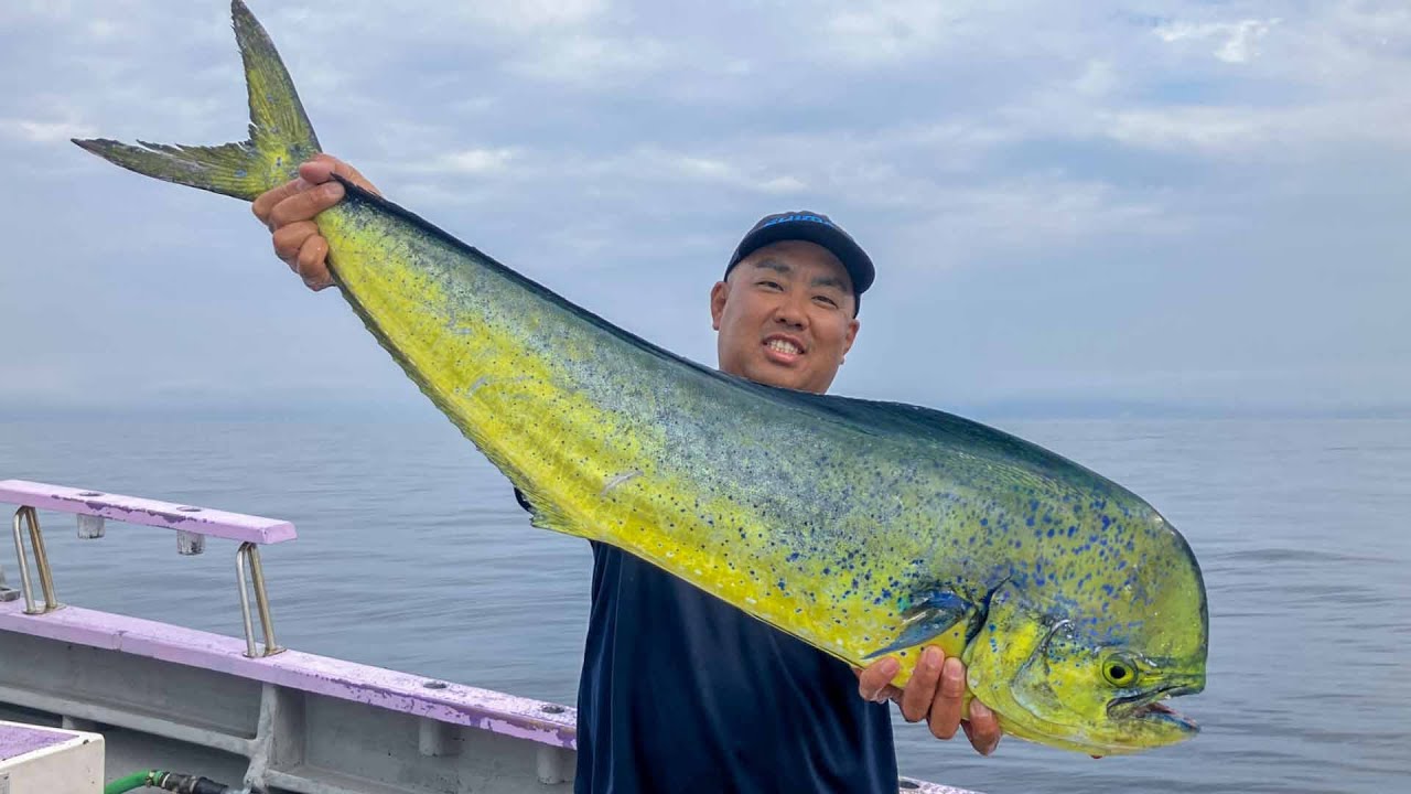 SALT X 52 夏の相模湾を満喫！シイラ・カツオ・キハダ | 釣りビジョン