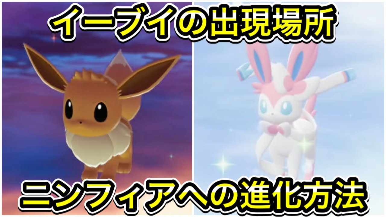 ポケモンZA】イーブイの出現場所！ニンフィアへの進化方法を解説 - YouTube