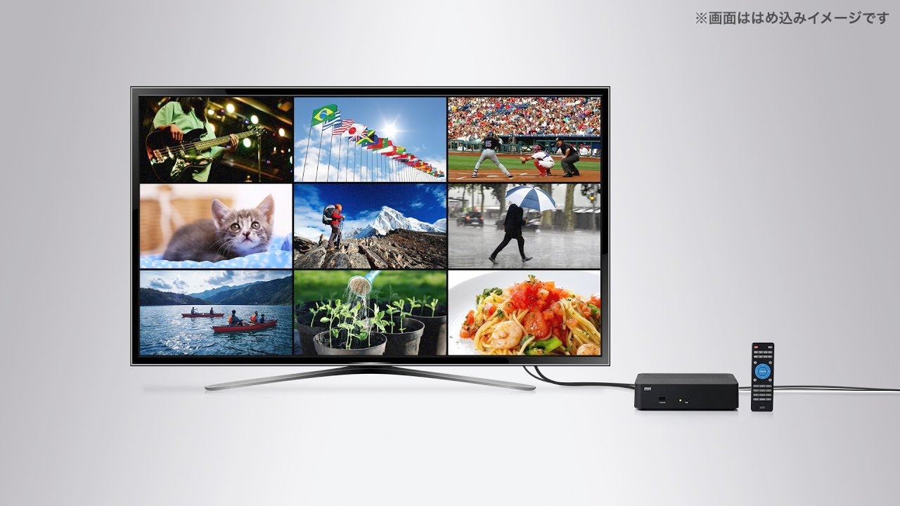 地デジチューナー（地上デジタルチューナー・ワンセグ・フルセグ・HDMI