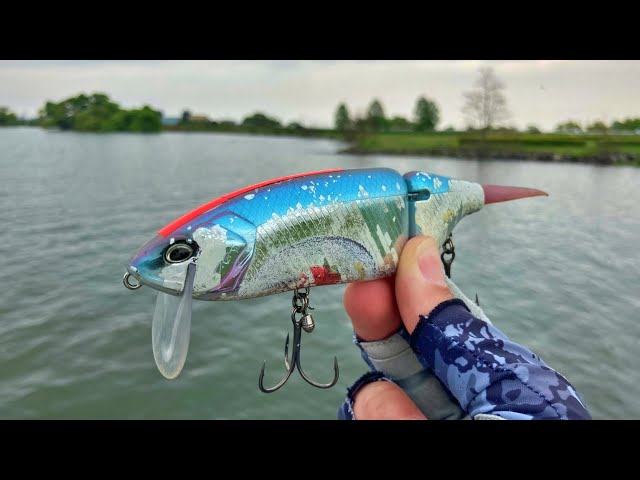 Bass Fishing] I did a certain tuning to my Tiny Crash and caught a