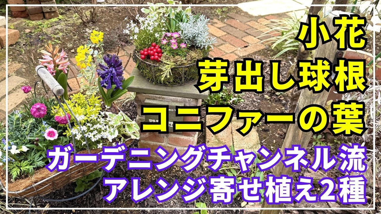 I played around with sprouting bulbs!] This video shows how to