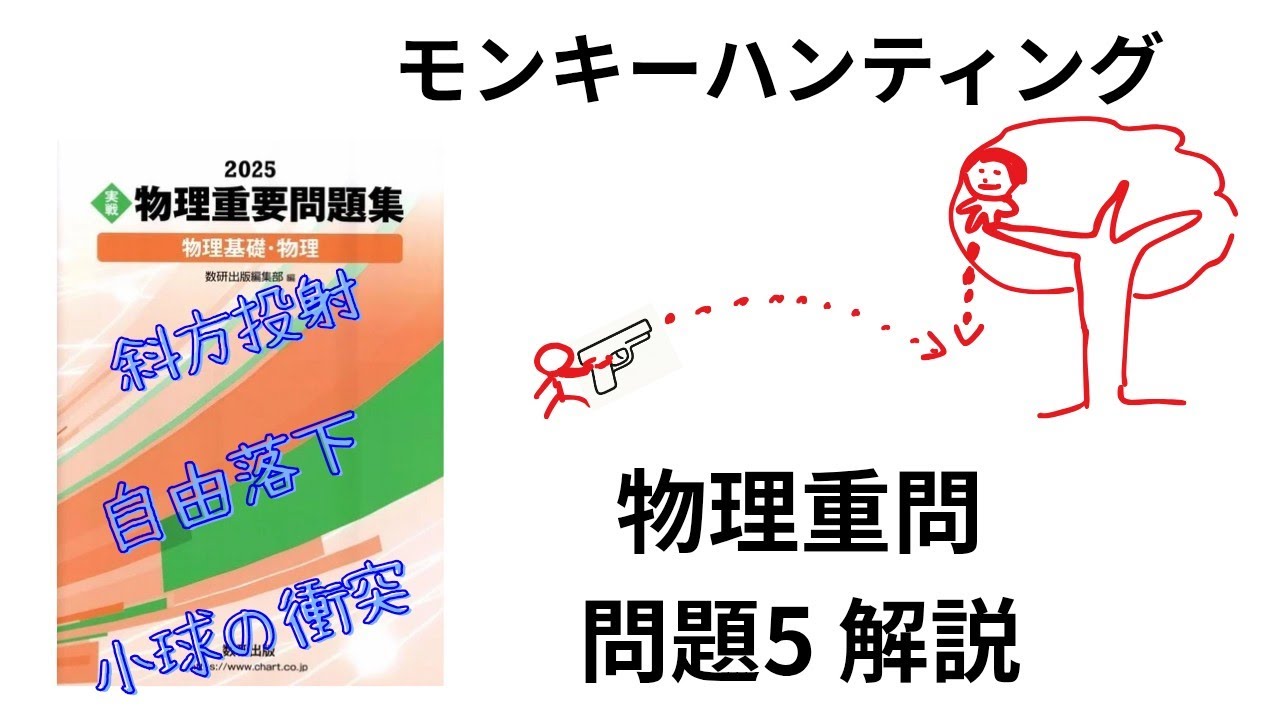 高校物理】2025物理重要問題集の問題5の解説【大学受験】【モンキー
