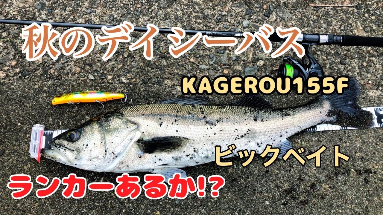 メジャークラフト DAYS デイズ702X シーバス ビッグベイト メガドッグ