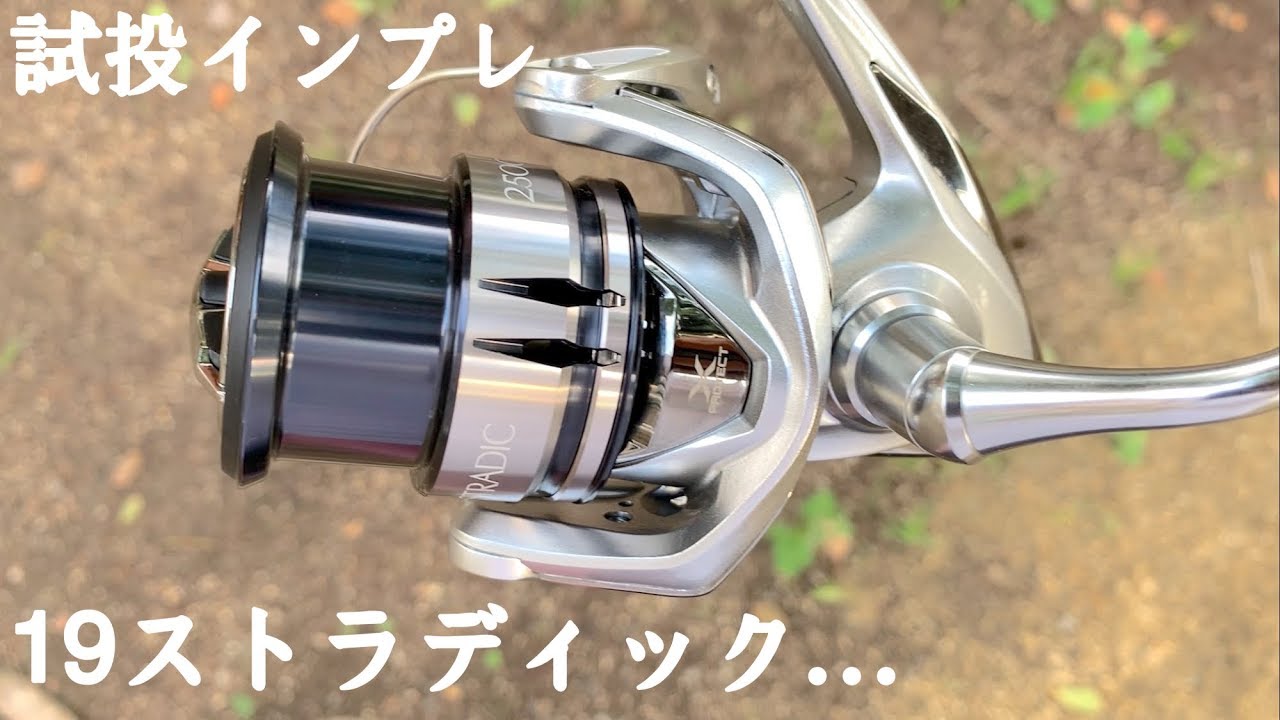 19ストラディックは凄く良いけど、流石にステラ並みは言い過ぎ【使用