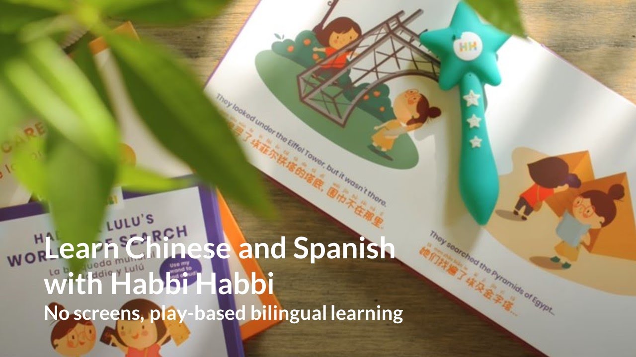 The Assortment Set (Wand + Mix of Books, Flashcards, Puzzle