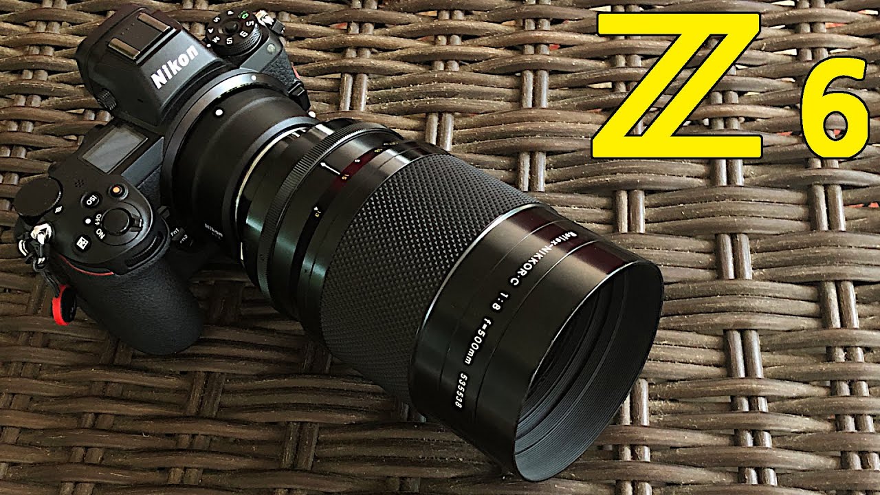 Nikon Z6 with a 500mm Reflex Mirror Lens Real World Test - YouTube
