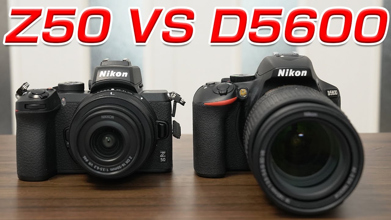 Nikon Z50 D5600 比較してみました！あなたはどっち？ - YouTube