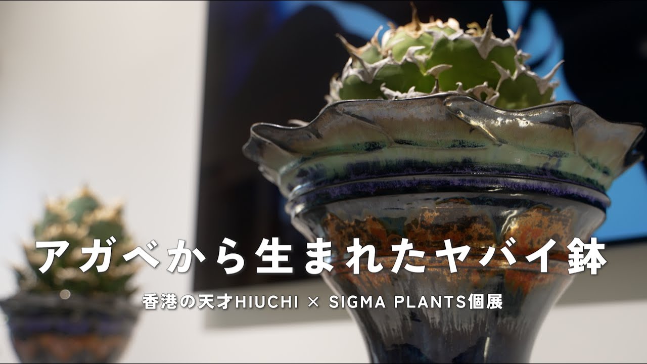 アガベから生まれたヤバイ鉢 香港の天才HIUCHI×SIGMA PLANTS個展 - YouTube